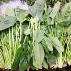 探訪大洋路農副產品市場 這里的菠菜究竟好不好吃？
