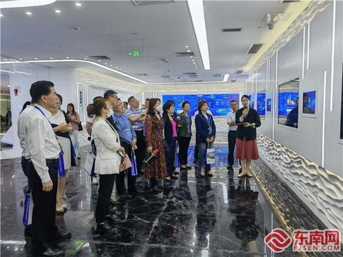 對接創(chuàng)新項(xiàng)目 點(diǎn)贊廈門發(fā)展 金磚國家華僑華人有 話 說