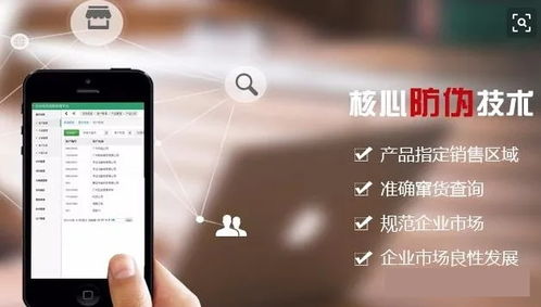 廈門(mén)二維碼防偽標(biāo)簽的軟件設(shè)計(jì)與制作 技術(shù)創(chuàng)新與市場(chǎng)應(yīng)用